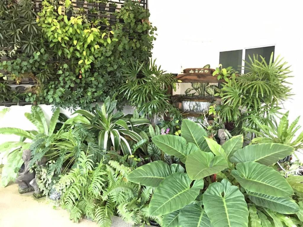 סורין The Grace Residence מראה חיצוני תמונה